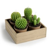 Bougie cactus. 14,90€, Maisons du monde
